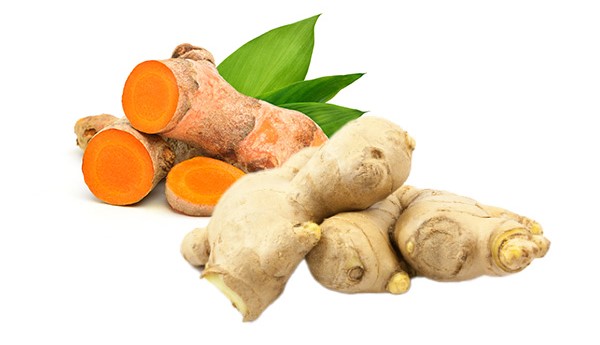 gold-herb_1